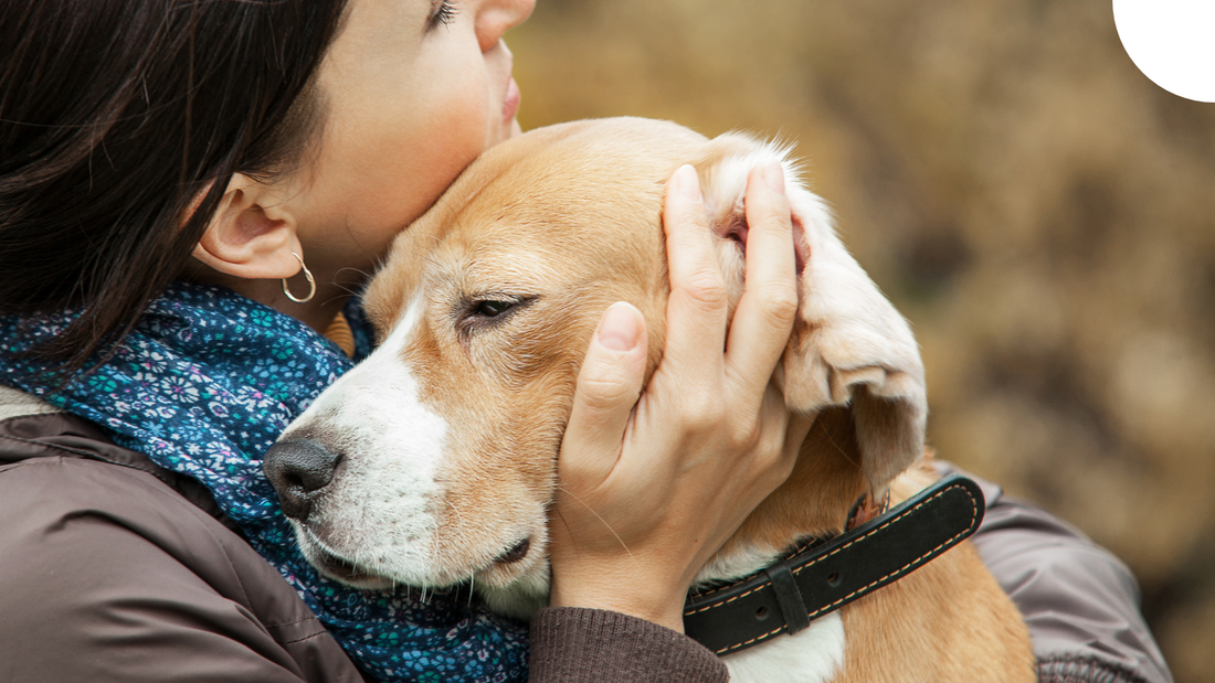 How Dogs Help with Depression: The Healing Power Explored