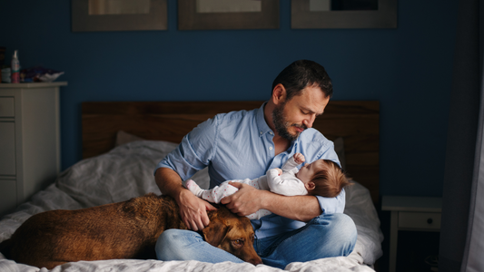 Father's Best Friend: Dog Beds Perfect for Dad's Furry Companion