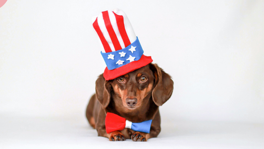 Celebrating the 4th of July with Baylee Nasco