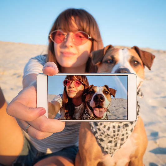 4 Reasons Dogs are Better than Humans