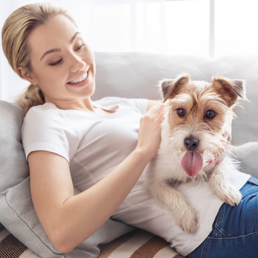 Six ways to assess a dog's personality