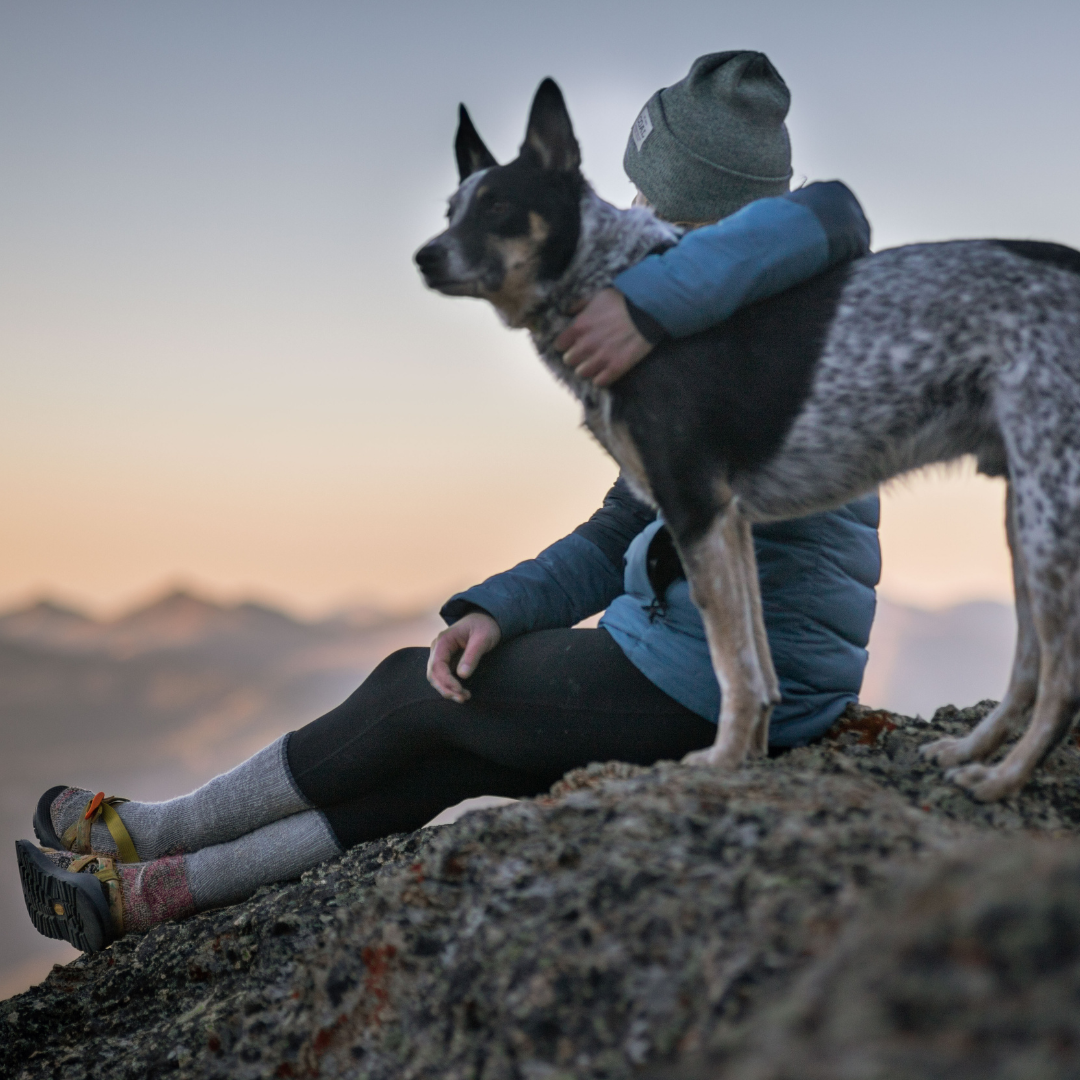 Man's Best Friend